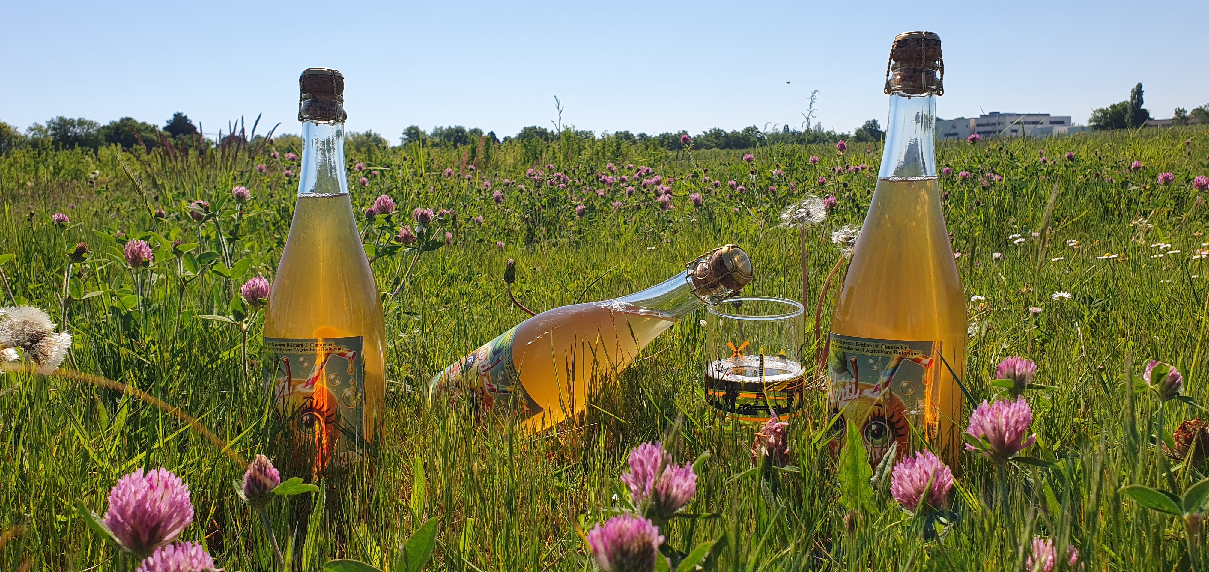 HORTI PETI'POM