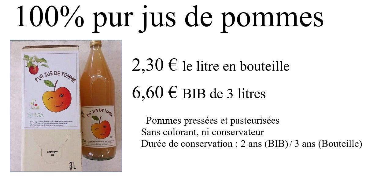Jus de pommes